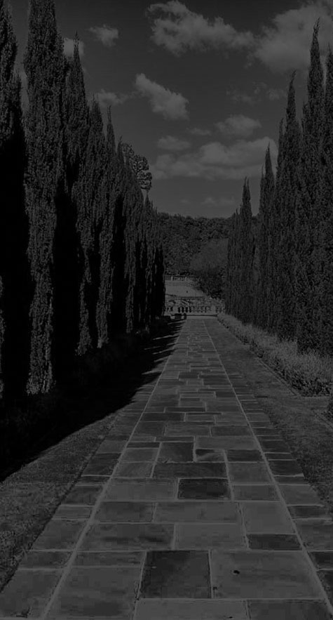 Flagstone pathway lined with trees (grayscale)