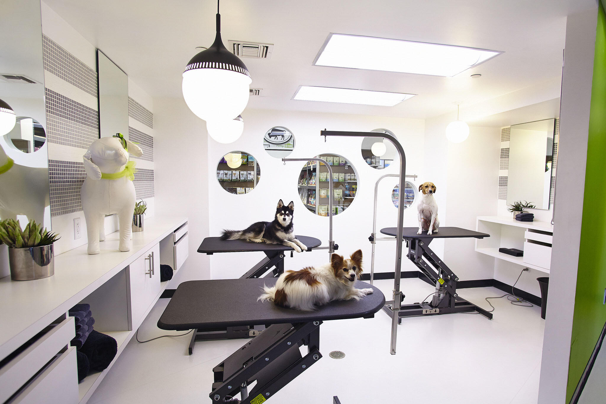 Pooch Pampering: Beverly Hills has Gone 